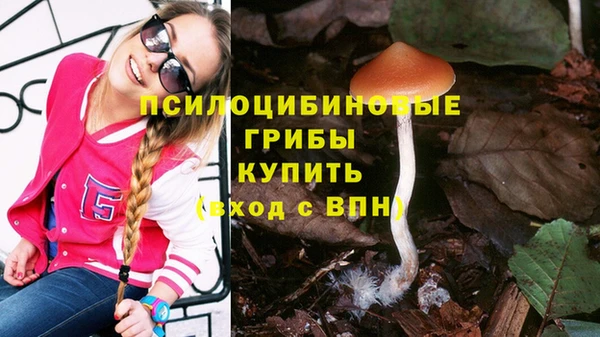 стафф Белоозёрский