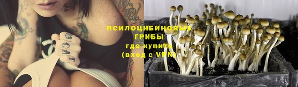 стафф Белоозёрский