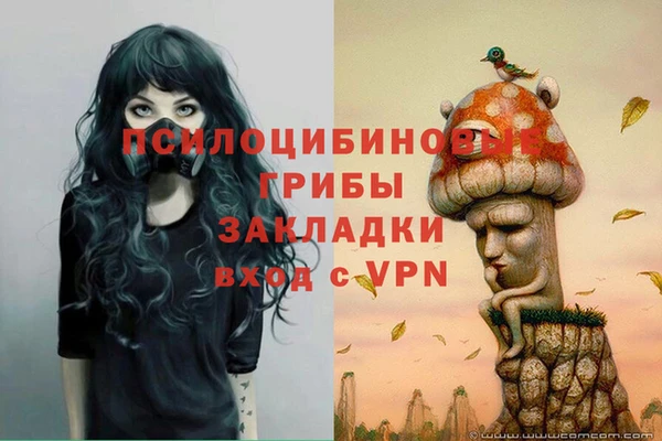 стафф Белоозёрский