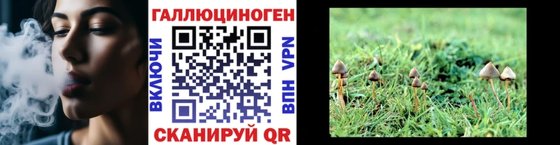 Псилоцибиновые грибы мицелий  Верхотурье 