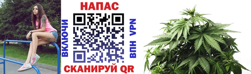 Марихуана конопля  цены наркотик  KRAKEN как войти  Верхотурье 
